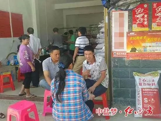 海南陵水紅四方農(nóng)化專家正在講解水肥管理