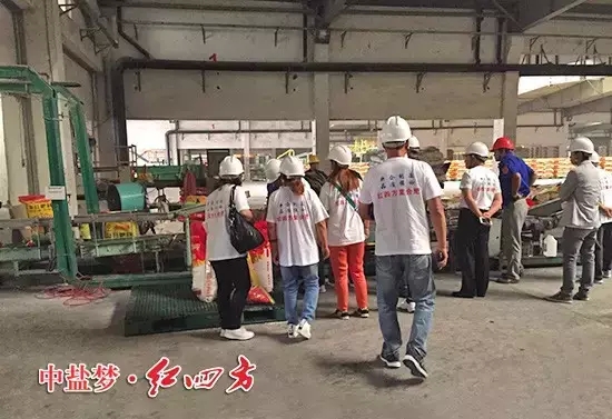 紅四方內(nèi)蒙古通遼經(jīng)銷商茂源攜19名二級(jí)網(wǎng)點(diǎn)來新區(qū)參觀并召開推廣會(huì).