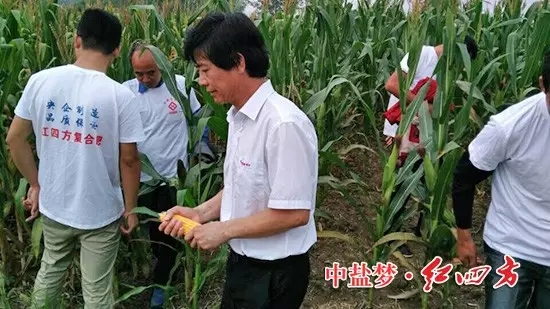 紅四方明光經(jīng)銷商劉廷府在澗溪鎮(zhèn)召開紅四方緩釋肥觀摩會(huì)，50名農(nóng)戶應(yīng)邀參加1.