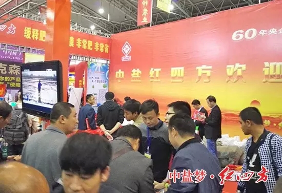 東北紅四方展臺(tái)輪回播放紅四方宣傳片.