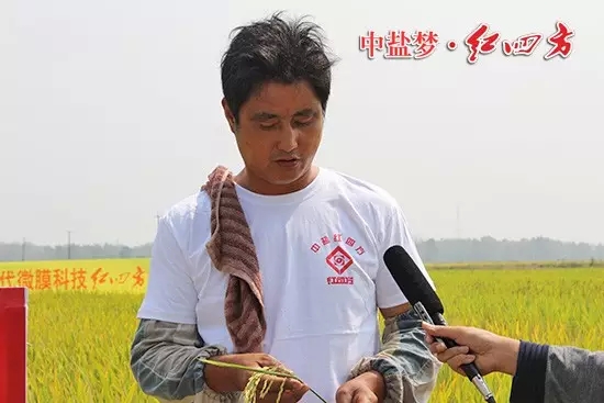 孟祥保告訴我們，3年前他開始大面積承包農(nóng)田，在肥料的選擇上，他慎之又慎，通過考察最終鎖定了紅四方肥料
