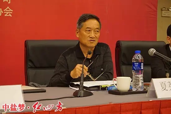 安徽省化肥工業(yè)協(xié)會名譽理事長夏英彪講話