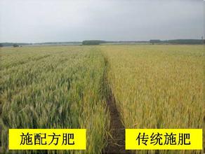 配方施肥增產對比圖