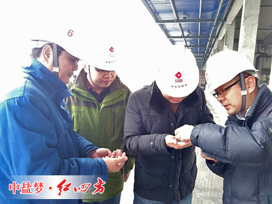 零距離體驗，探究紅四方復(fù)合肥造粒奧秘