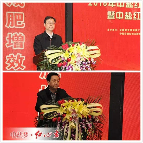 謝建華（上）、程燚（下）