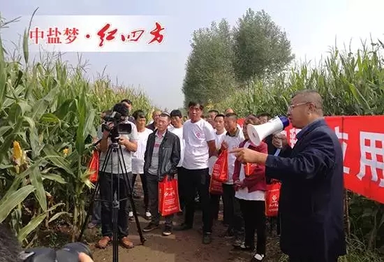 全國農技推廣中心、吉林省土肥總站、扶余土壤肥料站等領導、專家與吉林經銷商、大戶110多人齊聚一堂，實地觀摩玉米控失肥應用試驗示范。
