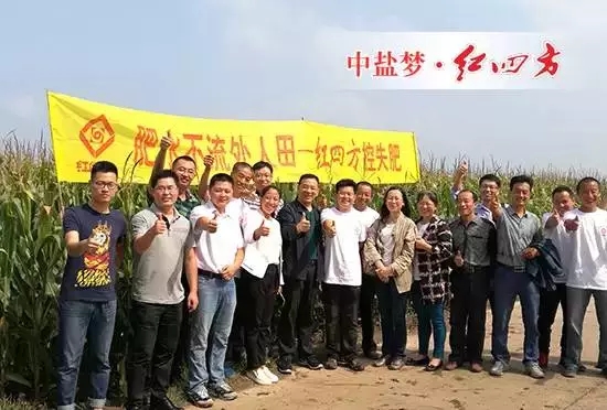 全國農技推廣中心孟遠奪（左七），吉林省土肥總站、扶余土壤肥料站等領導、專家，紅四方副總經理陳勇（左八）全程參與本次走訪活動。.webp.jpg