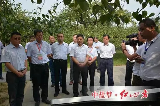 他們走進“數字果園”梨樹王示范點，走進中鹽紅四方肥料試驗示范園。