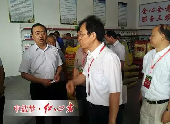 他們的梨樹全部選用了高效綠色的紅四方硫酸鉀（17-17-17）復合肥，結出的梨子個頭更大，汁更多，味更甜，還能提前上市。