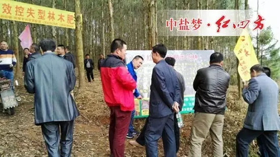 陳繼俊經理為種植大戶介紹施肥技術