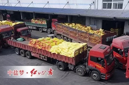 2月29日，全國各地復合肥銷售活動進行的如火如荼，中鹽紅四方搶占市場制高點，各地銷售中心捷報頻傳，銷量不斷攀升，復合肥發(fā)貨量同期增長20%，創(chuàng)歷史新高，迎來2016年農化銷售“開門紅”。