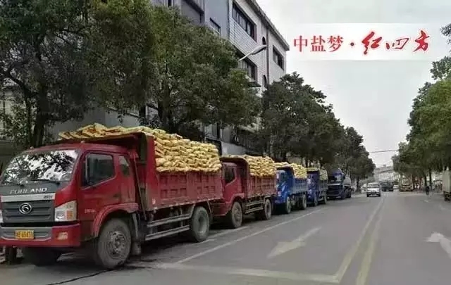 2016年，營銷系統(tǒng)各大區(qū)通過大量觀摩會、活動、科技講座等，取得了喜人的銷量。距離2017年只有2天，中鹽紅四方復合肥銷售喜報頻傳，復合肥日發(fā)貨量突破一萬噸，創(chuàng)歷史新高！
