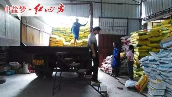 葉秀通的倉庫面積不是很大，但紅四方產品堆放的整整齊齊，不同的配方，不同的類別，一目了然。大伙兒正在忙著裝貨、送貨，裝卸工，庫管，發貨員，司機，忙碌有序，好不熱鬧。